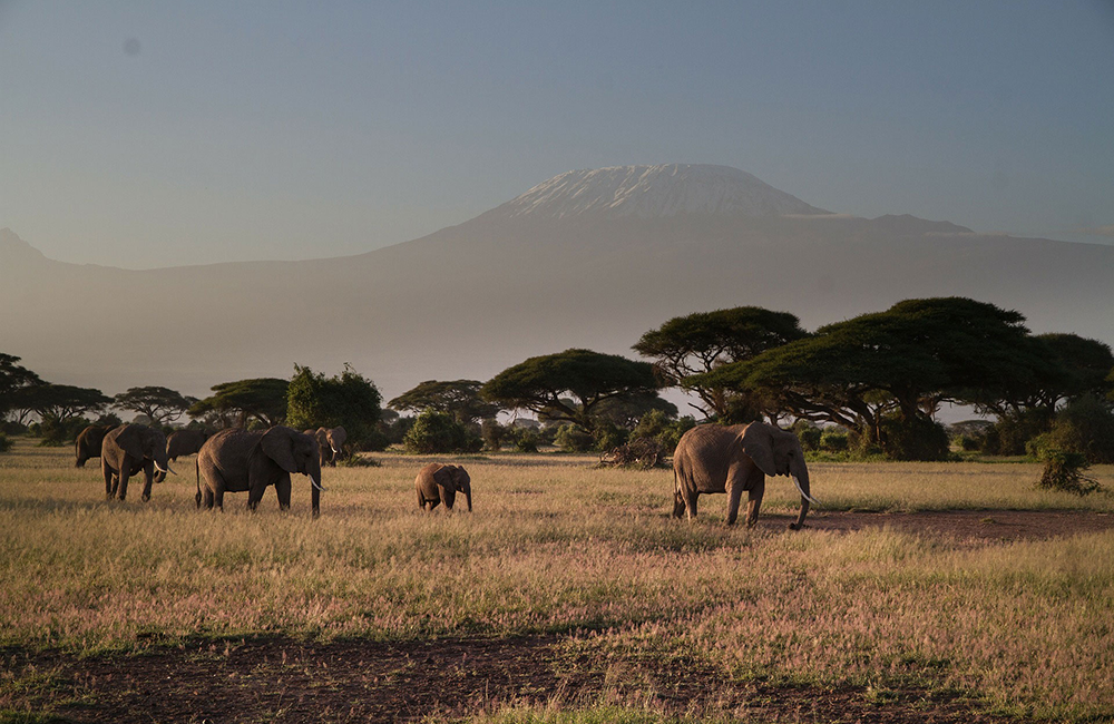 3-days-amboseli-national-park-safari-2 3-days-amboseli-national-park-safari