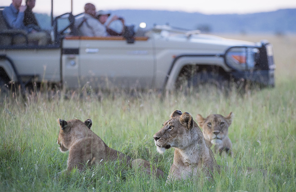 5-days-lake-manyara-ngorongoro-crater-serengeti-safari-1