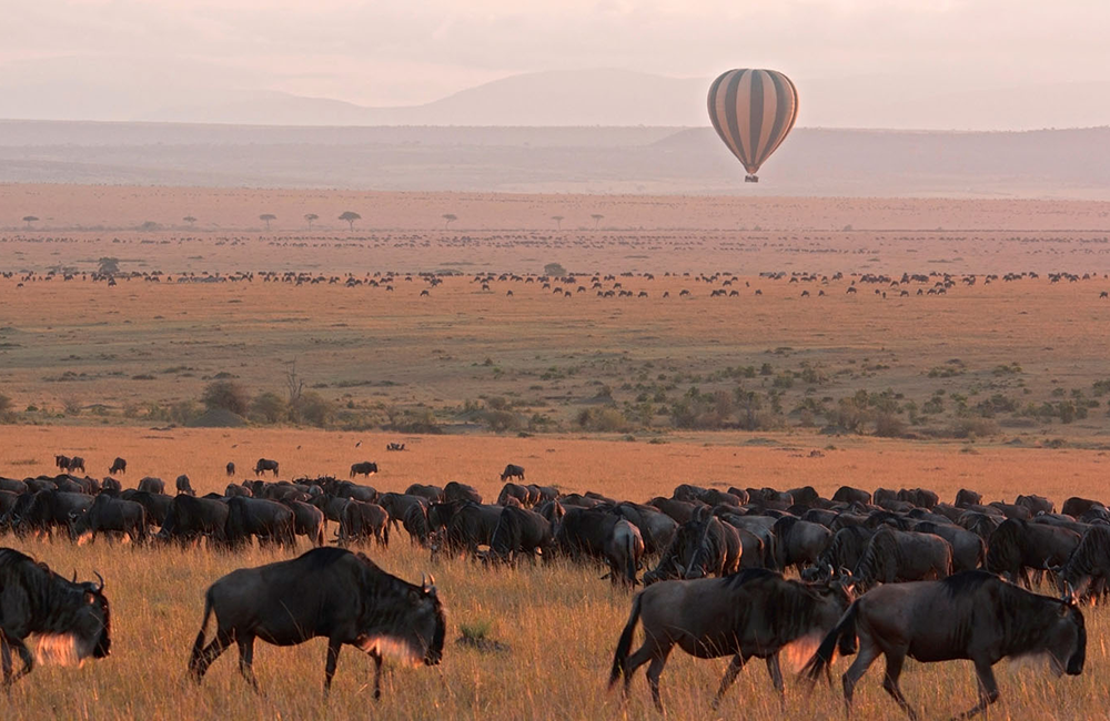 6-days-best-of-tanzania-adventure-safari-1